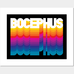 Retro Bocephus Proud Personalized Name Gift Retro Rainbow Style Posters and Art